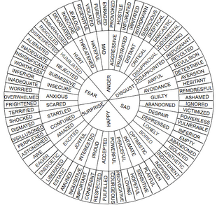 Illustration for article titled DBT 24: What do you feel?